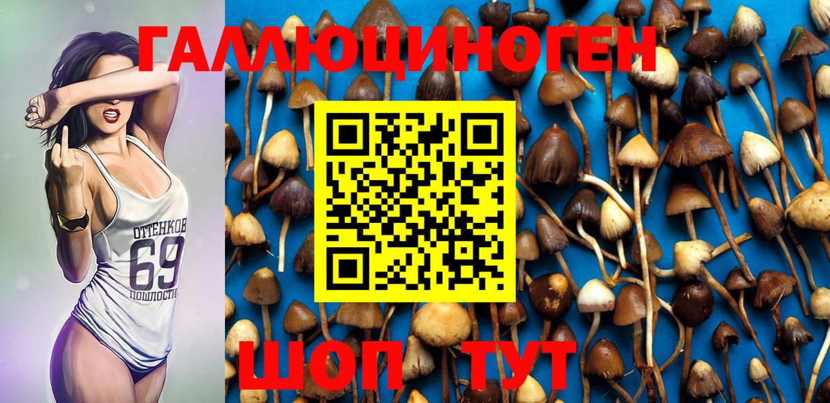 Галлюциногенные грибы MAGIC MUSHROOMS  Вход с VPN  купить  цена  Псилоцибиновые грибы прущие грибы  Тутаев 